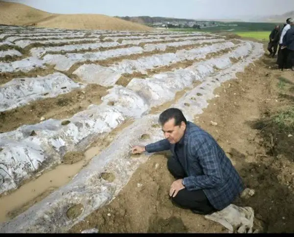 بیش از ۸۰۰ هکتار از اراضی دره‌شهر زیر کشت صیفی‌جات رفت/۹۰ درصد خیار و طالبی ایلام در دره‌شهر تولید می‌شود