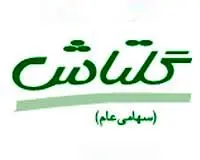 تحقق 21 درصد از درآمد فروش "شگل"