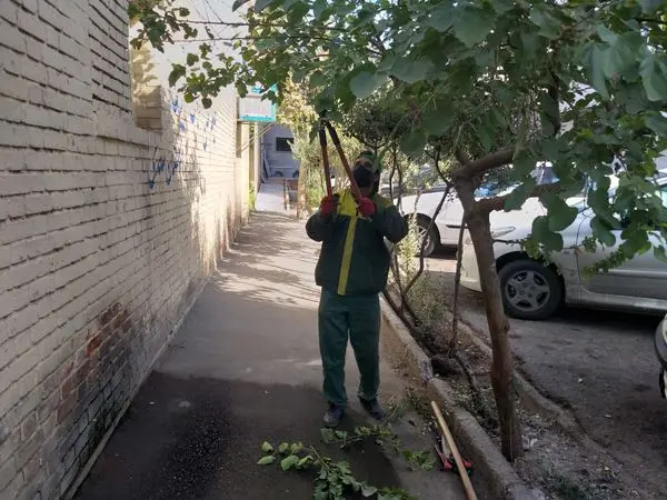 نواختن نمادین  زنگ آغاز سال تحصیلی و بهسازی فضای سبز مدارس منطقه 13