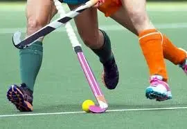 بررسی ویژگی های آمادگی جسمانی و ترکیب‏ بدنی تیم ملی هاکی‏ داخل ‏سالن ایران