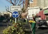 برگزاری دومین مانور کنترل ادوات، تجهیزات و ماشین آلات پیمانکاران فضای سبز منطقه ۴