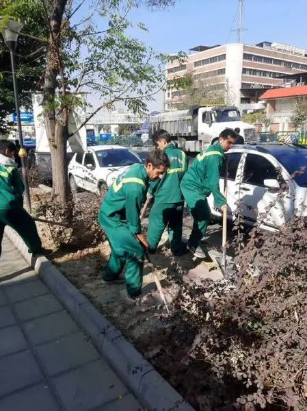 آغاز عملیات بهزراعی پاییزه در معابر منطقه۸