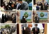 نقش تاثیرگذار زنان در حفاظت از محیط زیست 