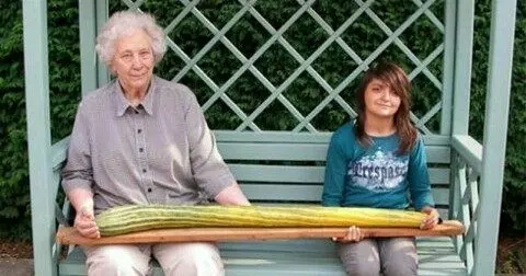 بلندترین خیار جهان+عکس