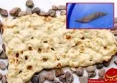 بازیکن جوان تراکتور دست خود را جراحی کرد