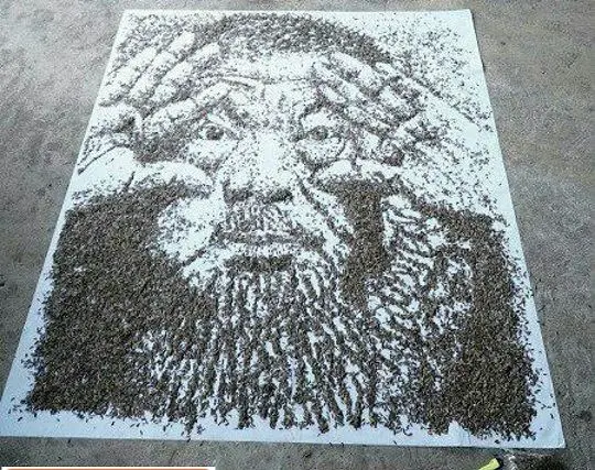 خلق پرتره با 20000 دانه آفتابگردان+عکس