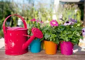 برگزاری دوره‌های آموزشی و مشاوره ای مجازی گل و گیاه در کلینیک فضای سبز منطقه 7  

