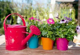 برگزاری دوره های آموزشی مجازی گل و گیاه ویژه شهروندان شمال شرق تهران