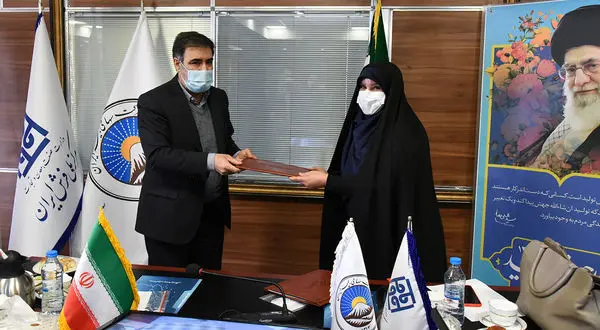 بیمه ایران حامی فرش ایرانی