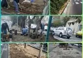 کاهش ترافیک بلوار امیرکبیر به خیابان هوانیروز