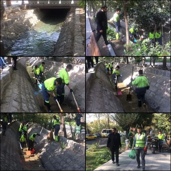 اجرای طرح ویژه نگهداشت شهر در بلوار کشاورز

