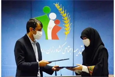 150 هزار نفر از شاغلان صنایع دستی کشور بیمه می‌شوند
