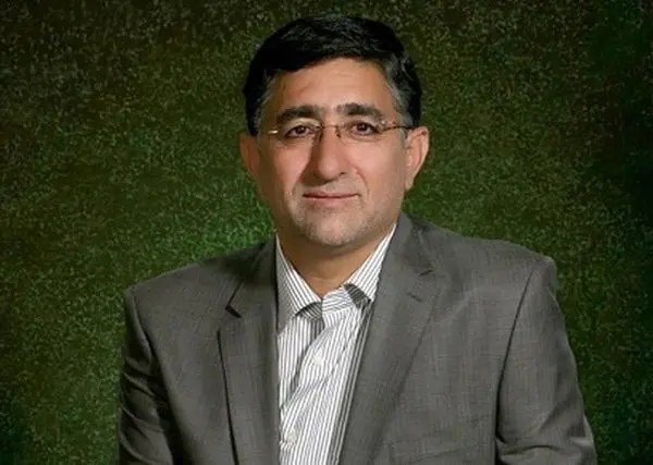 لایحهای برای افزایش تعداد نمایندگان به مجلس ارائه نشده است