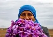 بورس کالا مرجع جهانی قیمت زعفران می شود