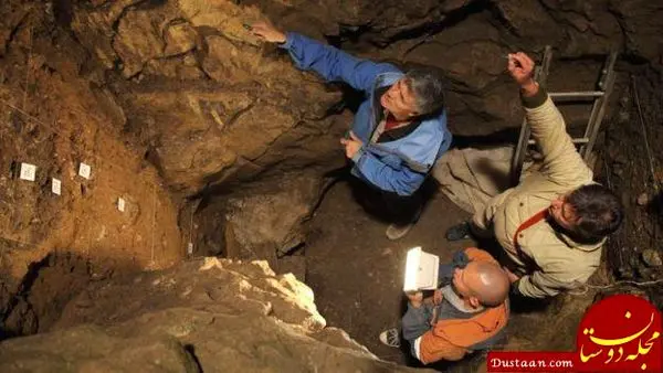 کشف استخوانی که ترکیب دو گونه مختلف انسان بود +عکس