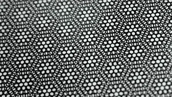 موهای خود را
با
گرافن رنگ کنید!