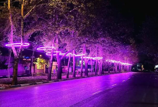 خیابان شریعتی و نارنجستان هفتم نورپردازی شد

