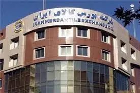 درخواست از استادان دانشگاه و اقتصاددانان برای کمک به سامان‌دهی بازار خودرو