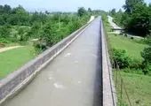 ضرورت رعایت تقویم زراعی برای حل مشکل کم آبی شالیکاران