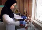 نوسازی دو شیرخط اصلی بدون اعمال قطع آب در شهر
