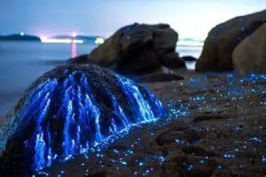 تصاویری زیبا از سنگ های گریان در ساحل+عکس