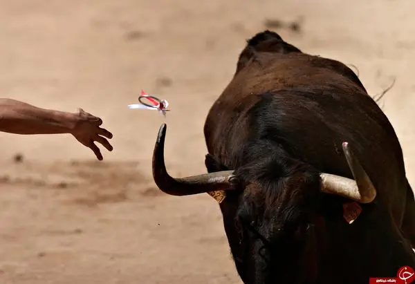 سرگرمی خطرناک مردم یک شهر +تصاویر 