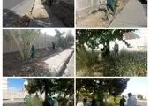 قطب تحقیقات فضای سبزشهری منطقه 15 به پیشرفت 45 درصدی رسید

