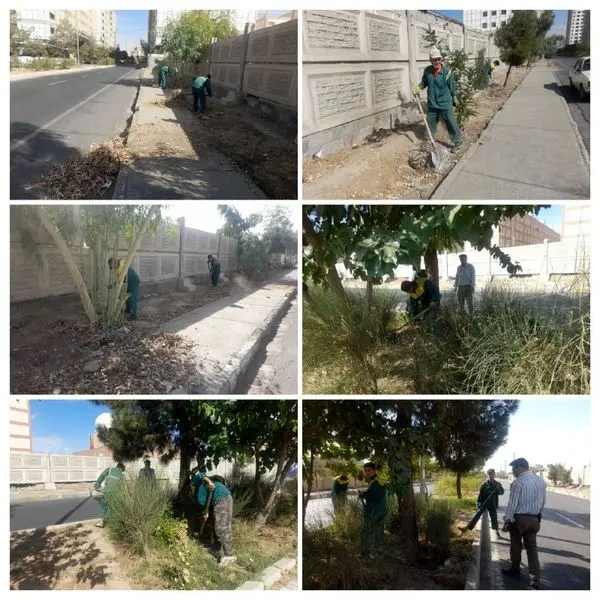 اجرای طرح جهادی رسیدگی به ۳۵۰ هزار متر مربع از فضای سبز منطقه ۲۱