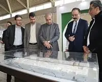 بازدید معاون فنی و عمرانی از نمایشگاه صنعت ساختمان و صنایع وابسته