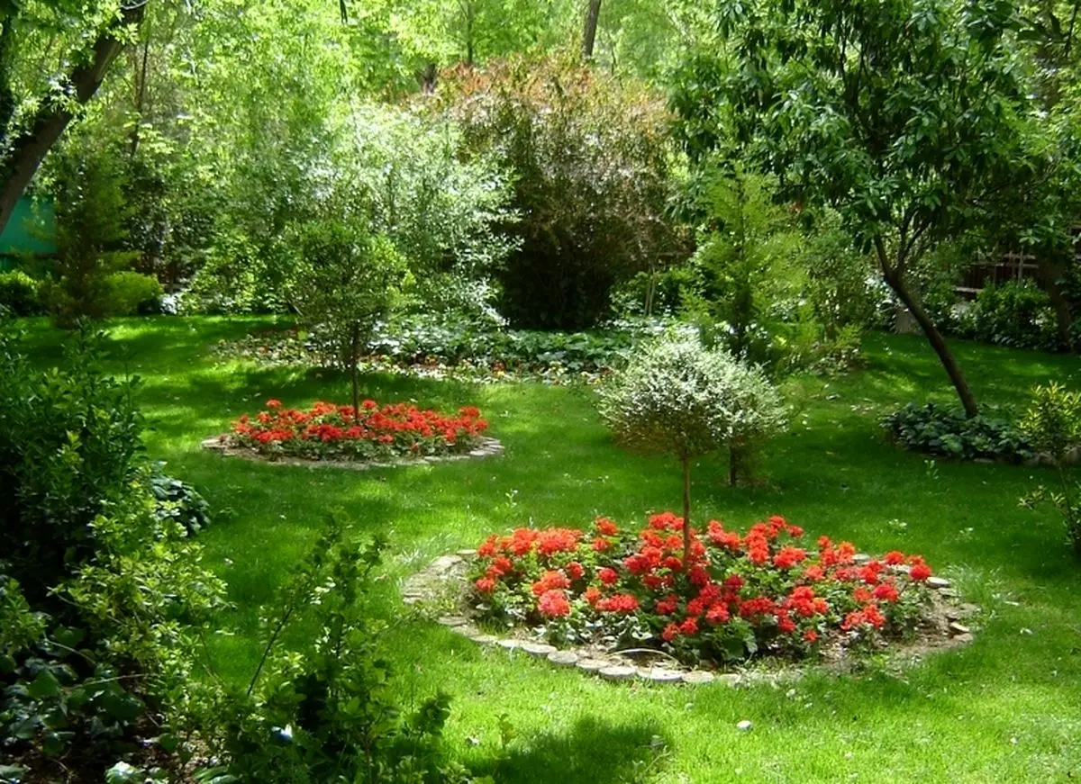 افزایش سرانه فضای سبز منطقه ۵ قم به ۹.۶ مترمربع