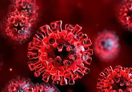 کاهش بیماران جدید کرونایی در مازندران

