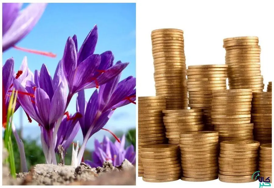 سرمایه گذاران با جیب های پر از طلا و زعفران به استقبال نوروز رفتند