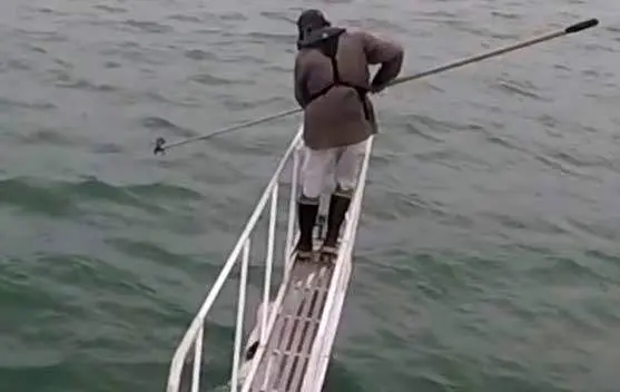 
پرش کوسه برای گرفتن پای مرد جوان! + عکس
