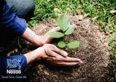 سیر تحول نستله از مسئولیت اجتماعی به خلق ارزش برای جامعه