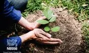 سیر تحول نستله از مسئولیت اجتماعی به خلق ارزش برای جامعه