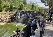 جشنواره لانه گذاری برای پرندگان شهری در منطقه 2