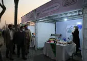 کسب مقام قهرمانی تیم فوتبال کودکان منطقه 12 پایتخت


