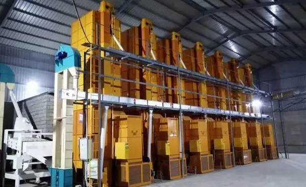 راه یک شرکت دانش بنیان به بازار کنیا باز شد