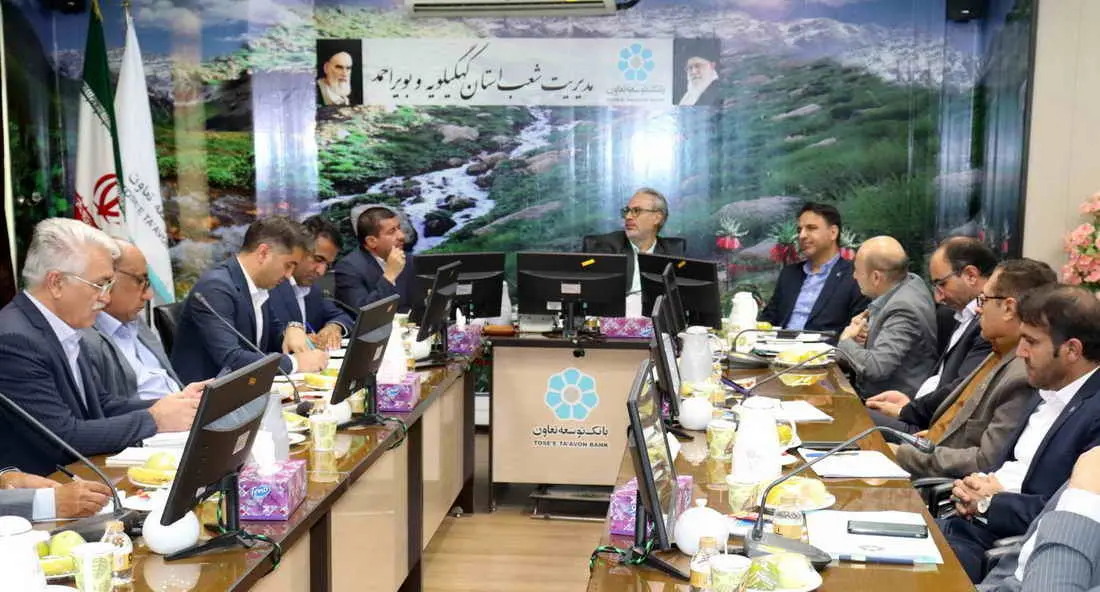 تأثیر بی‌بدیل بانک توسعه تعاون در رونق کسب‌ وکارها

