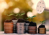 نباید کارها در هیچ عرصه‌ای متوقف شود