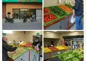 افتتاح نخستین زمین چمن مصنوعی ویژه بانوان در منطقه 7

