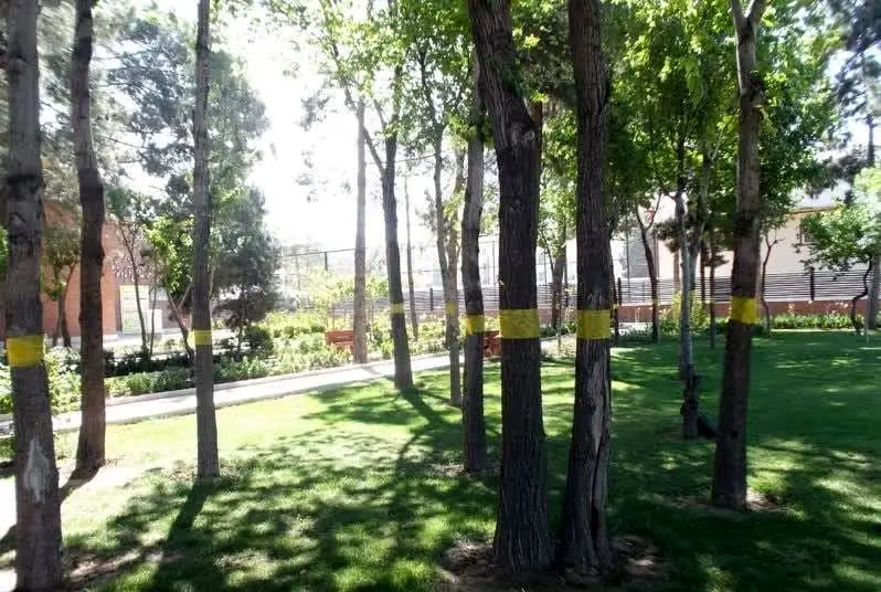 برگزاری چهارمین مجمع مشورتی و تخصصی محلات شهر تهران در منطقه 19

