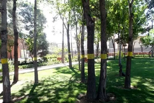 برگزاری چهارمین مجمع مشورتی و تخصصی محلات شهر تهران در منطقه 19