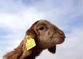 اختصاص مبلغ30هزارمیلیارد ریال از منابع بانک کشاورزی برای طرح توسعه مکانیزاسیون کشاورزی
