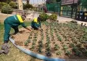 جشن بزرگ ولایت در میدان نبوت تهران
