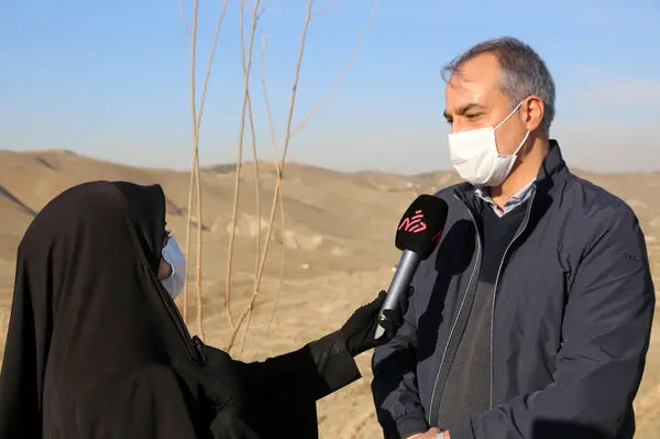 غرس بیش از 15 هزار اصله نهال در جنگل ها و بوستان های شمال شرق تهران

