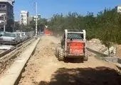  سال قبل سال محیط زیستی بود

