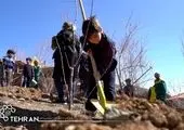 اجرای  عملیات خاکریزی و آبرسانی رفیوژ میانی خیایان 17 شهریور