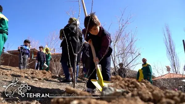 اجرای طرح جهادی فضای سبز در محورهای اصلی شمال تهران