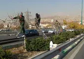 معابر و بزرگراه‌های منطقه ۲ به نام پیامبر مهربانی‌ها مزین شد

